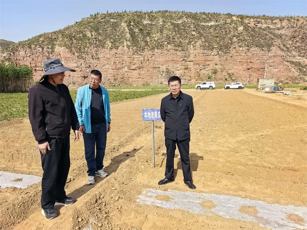 府谷县农技中心深入种质资源基地检查指导种植工作
