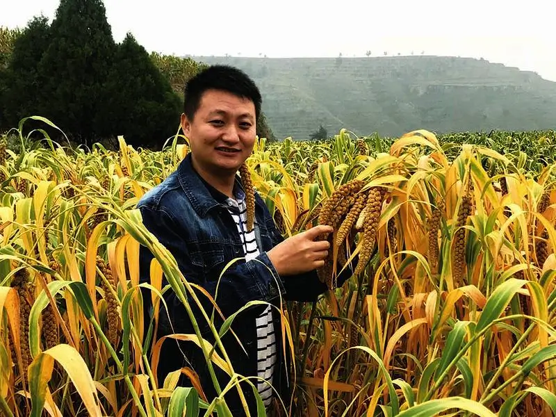 陕西青创联盟电子商务股份有限公司总经理张雄彪荣获2026年度“新时代青年先锋”