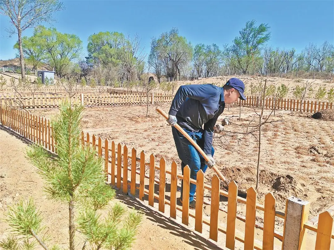 补浪村村民在小果园栽种树苗。高苗摄