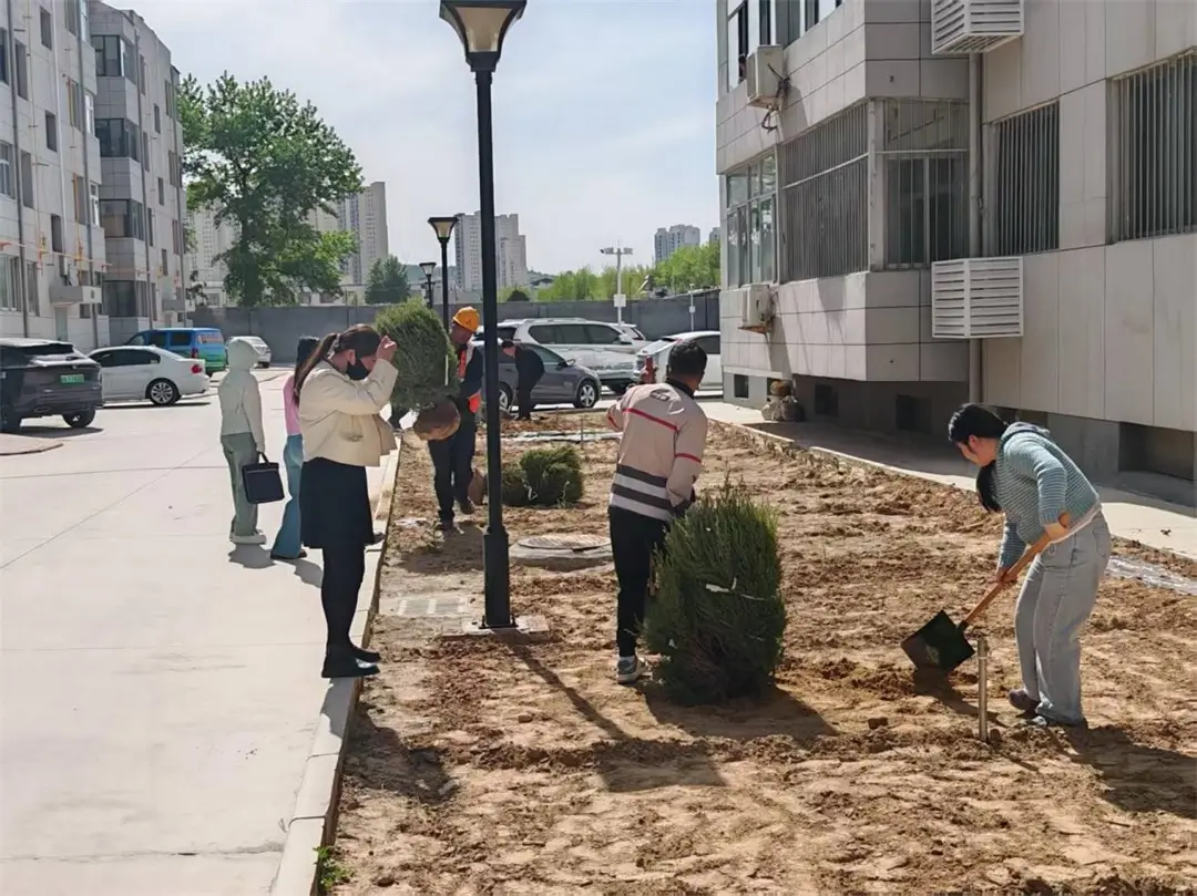 治沙所西小区绿化改造