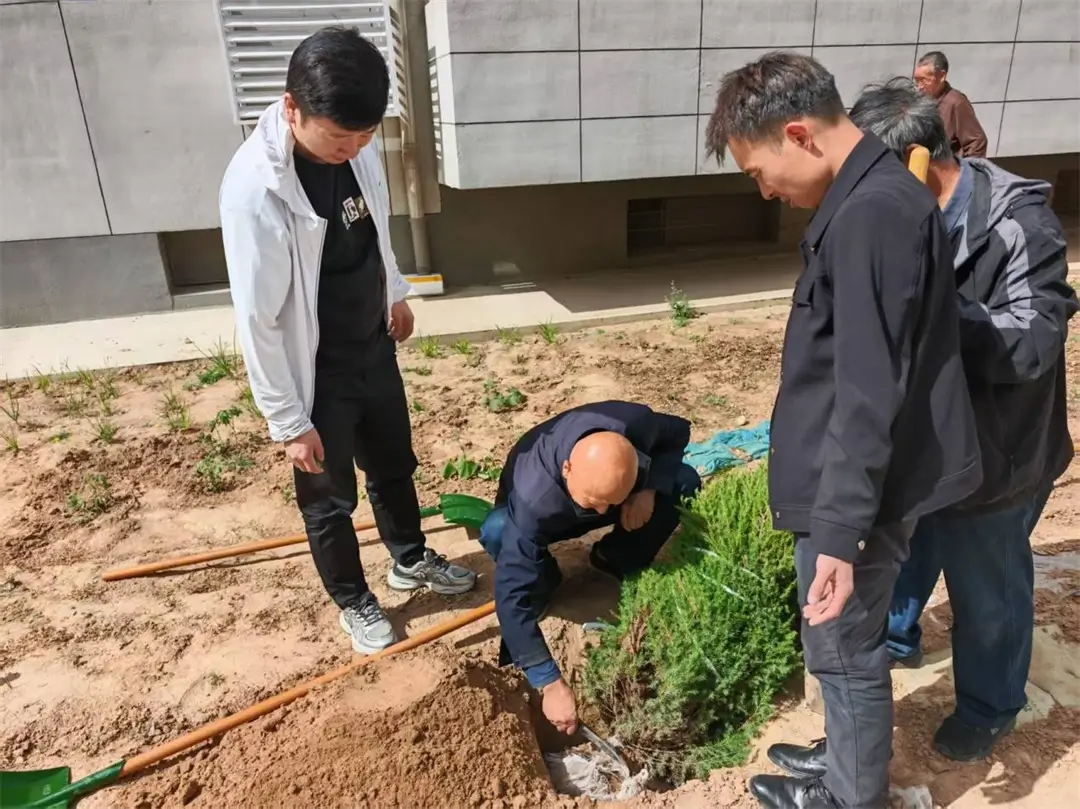 治沙所西小区绿化