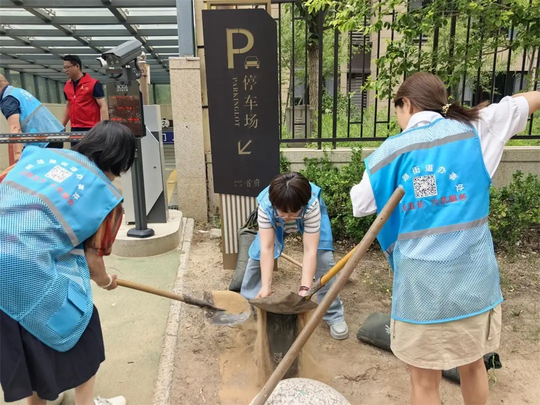 凝聚共建合力,构建治理“共同体”