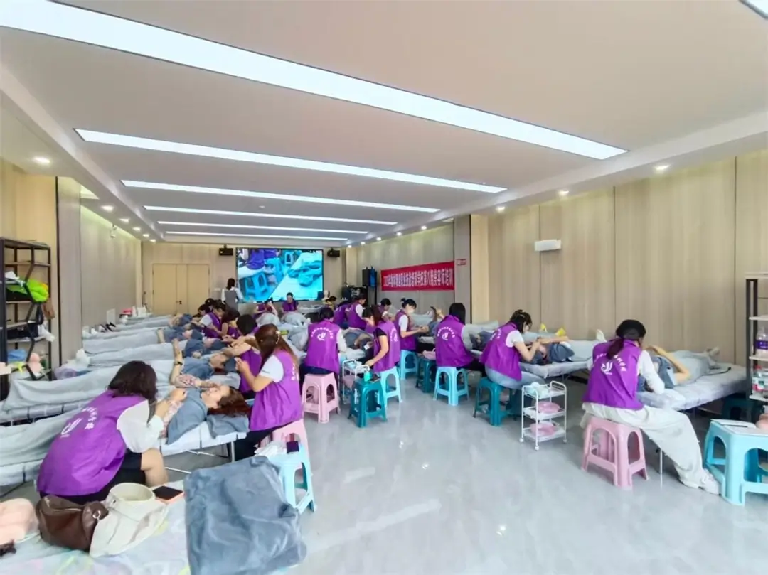参训学员系统化学习