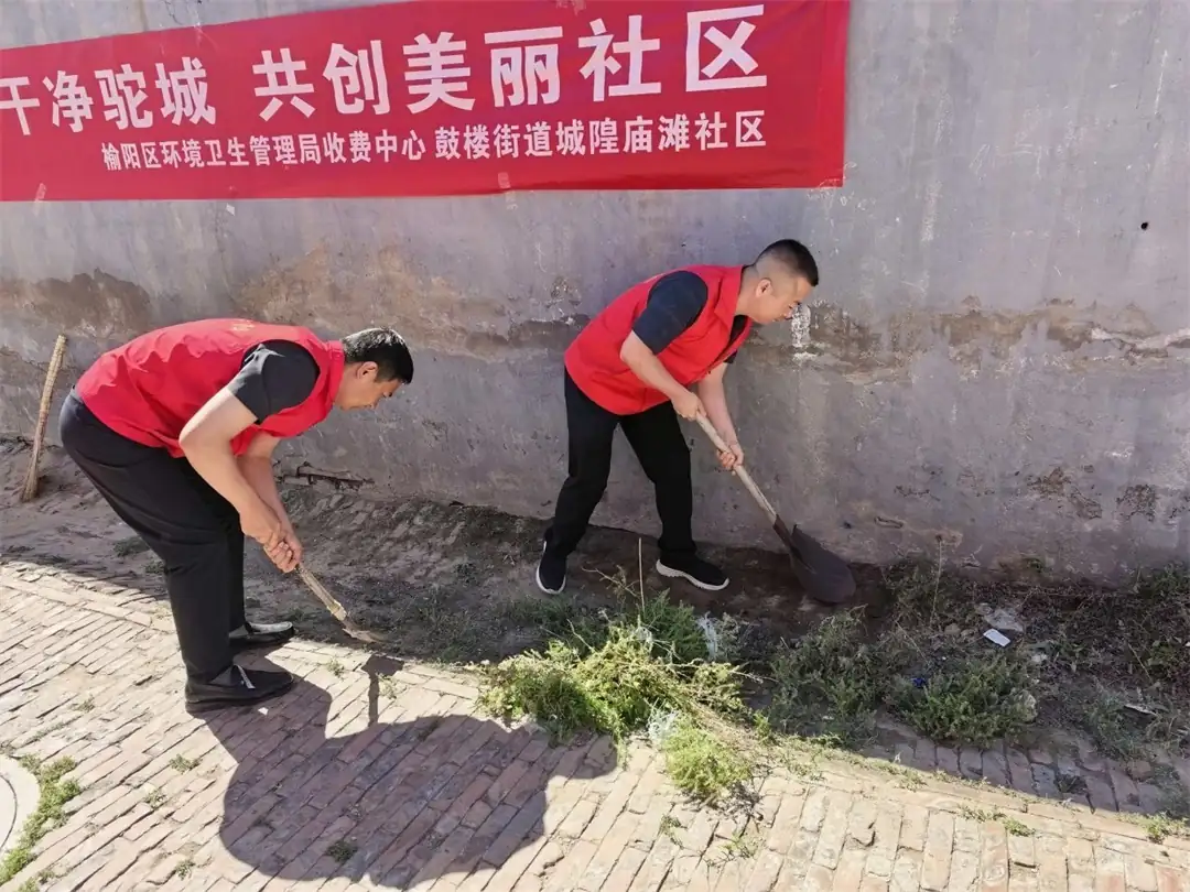 重点清理背街小巷、绿化带、楼道角落的白色垃圾、枯枝杂草、堆积杂物和顽固污渍