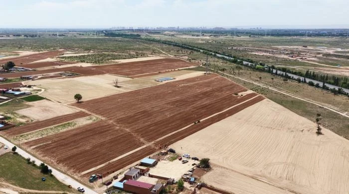 定边县盐场堡镇二楼村整合700亩盐碱地种植耐盐碱饲草,引入中水灌溉,破解养殖饲草短缺难题。