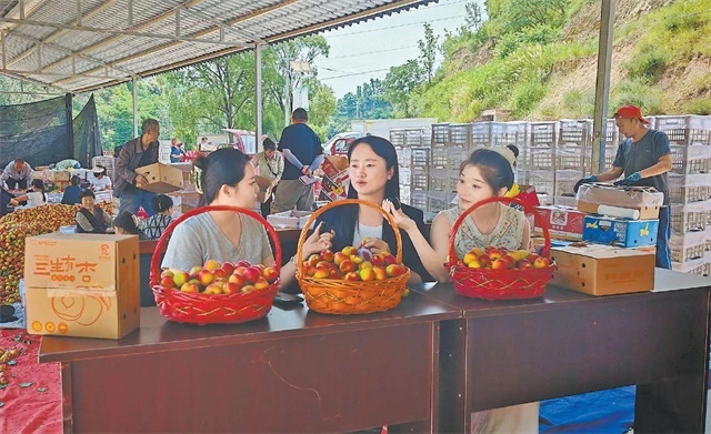 清涧融媒体中心主持人在宽州镇西李家沟村产地助农直播。通讯员刘波摄