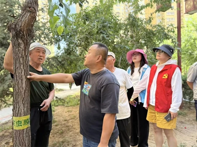 近日,榆阳区三辰社区联合榆林大学园林专业师生,在公园时光小区开展绿植养护科普与实操活动。