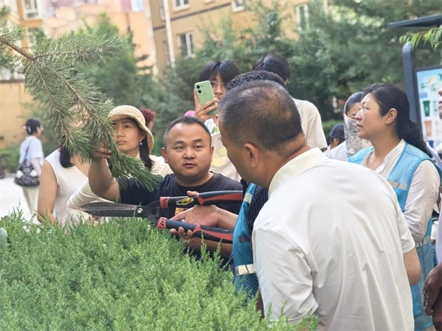 近日,榆阳区三辰社区联合榆林大学园林专业师生,在公园时光小区开展绿植养护科普与实操活动。