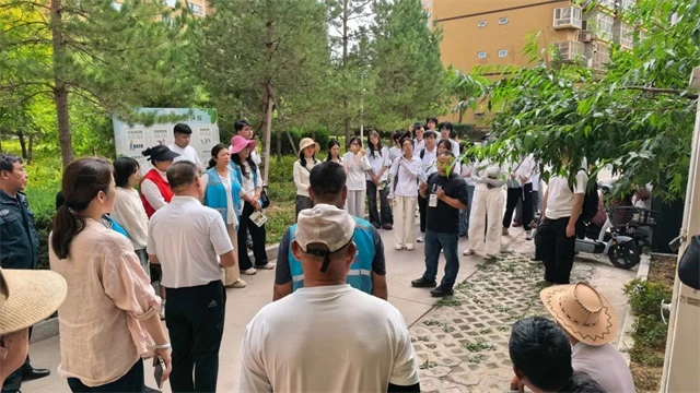 近日,榆阳区三辰社区联合榆林大学园林专业师生,在公园时光小区开展绿植养护科普与实操活动。