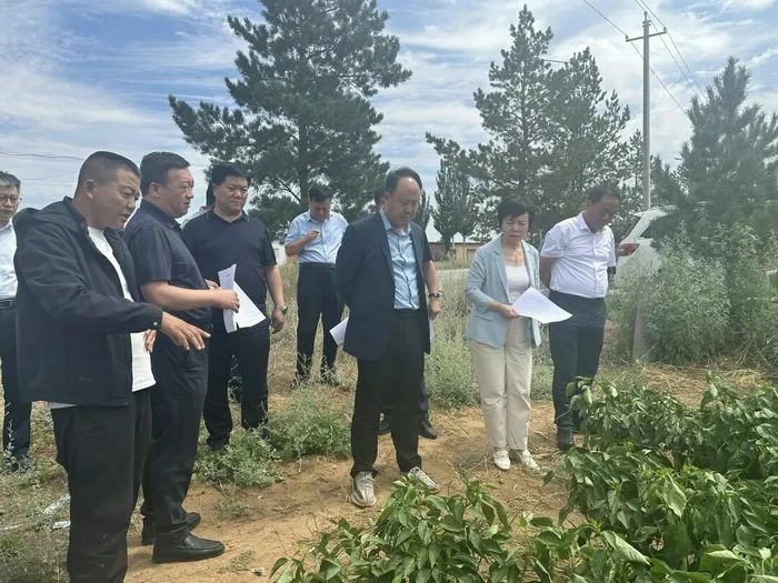 7月15日,府谷县人大常委会主任杨艾霞带队来定边考察,县人大常委会主任马俊飞陪同。