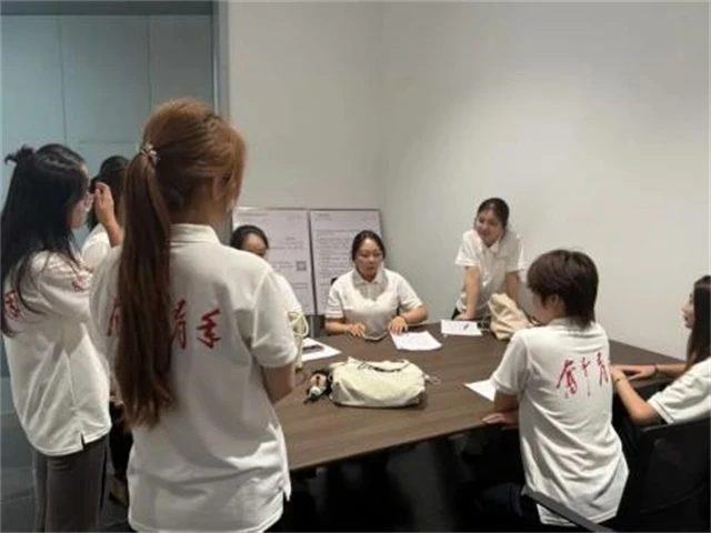 实践队讨论任务分配