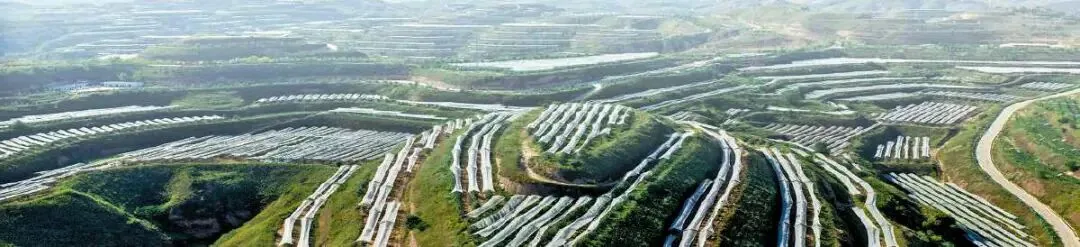 赵家坬山地苹果标准化示范园 通讯员周波 摄