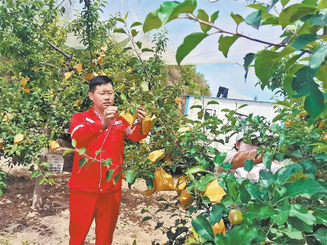 路通业兴民心暖——长庆油田第二采气厂真情帮扶米脂县王坪村