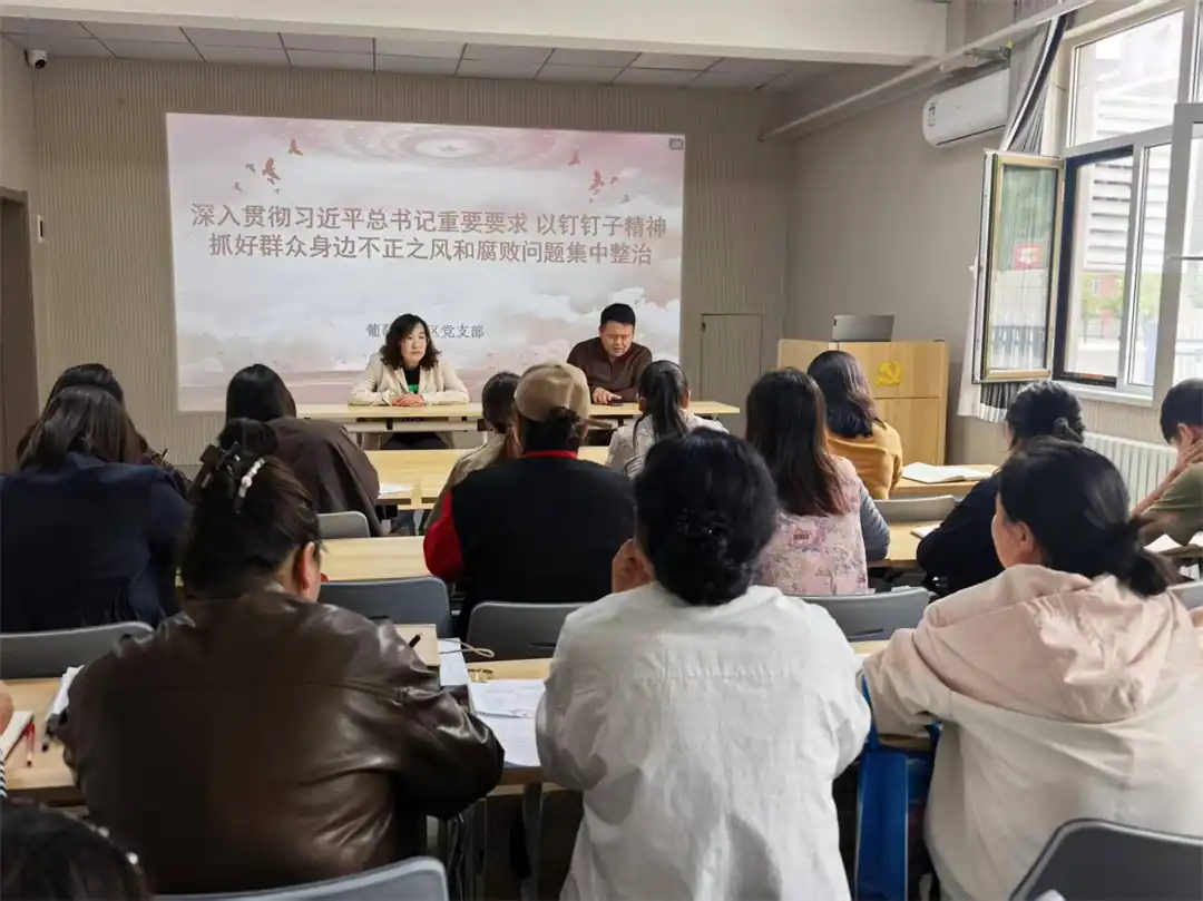 崇文路街道葡萄园社区:深入学习贯彻习近平总书记重要指示精神,以钉钉子精神抓好群众身边不正之风和腐败问题集中整治