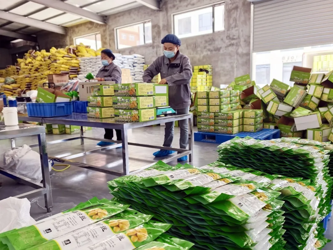 清涧：资金赋能产业兴  粉条铺就致富路