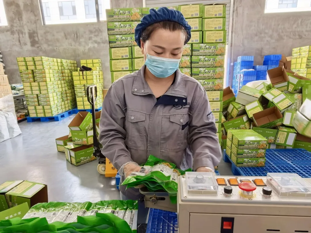 近日,清涧县改改农副产品加工公司在“五个一”专项资金扶持下,完成设备升级与产能扩容,年产量由1200吨提升至3000吨,产品远销多省。