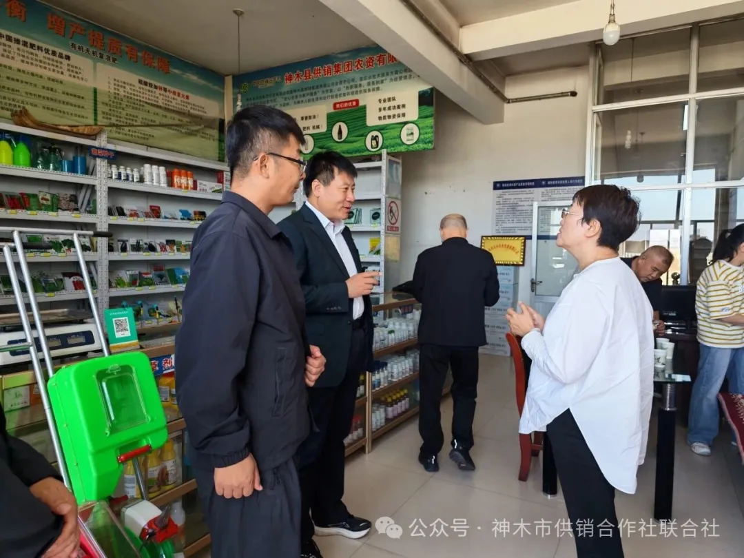 榆林市供销社副主任毕亚莉一行来神木检查农药兽药经营管理工作