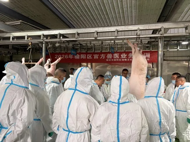近日，榆阳区畜牧兽医局组织召开2026年官方兽医业务培训会