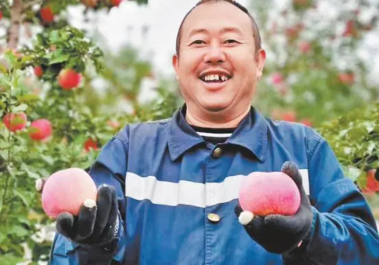 展示山地苹果