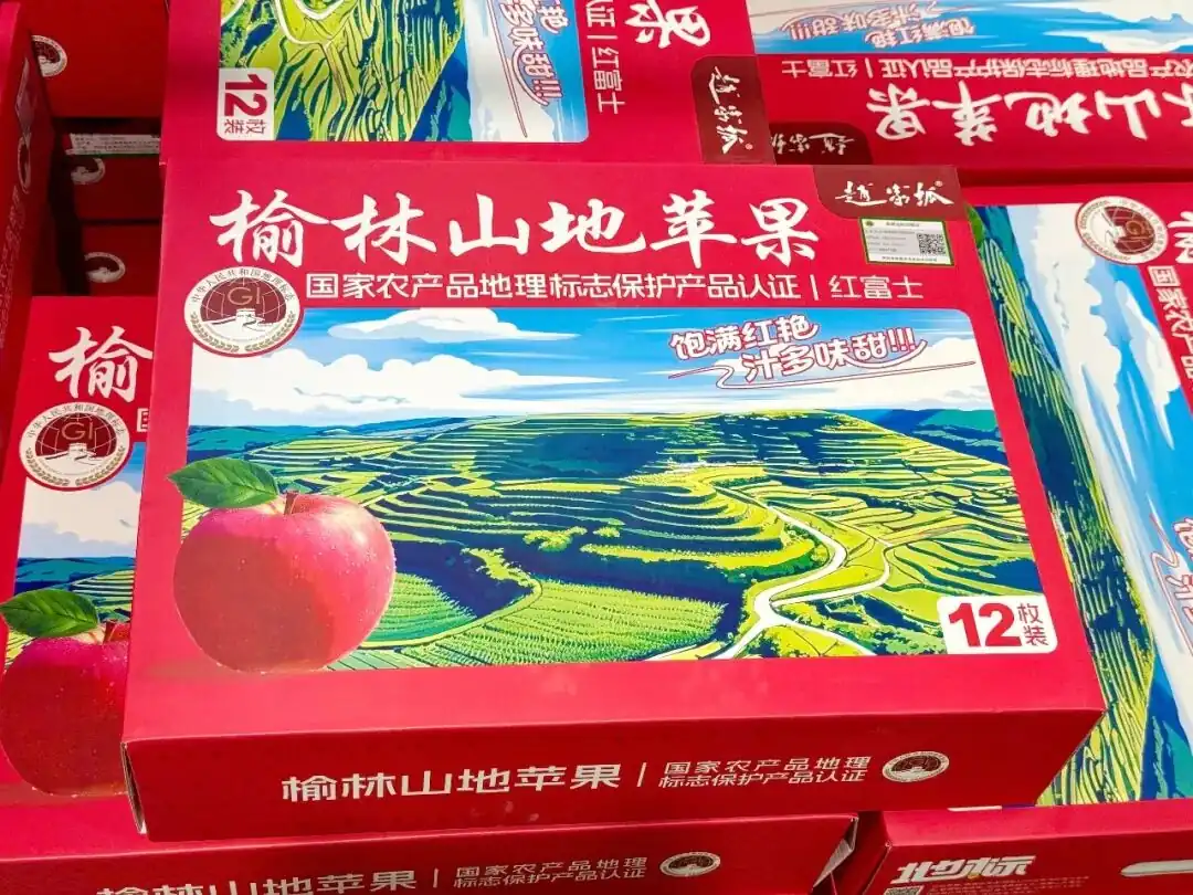 金秋时节,绥德县赵家坬现代农业产业园区4800亩山地苹果迎来丰收