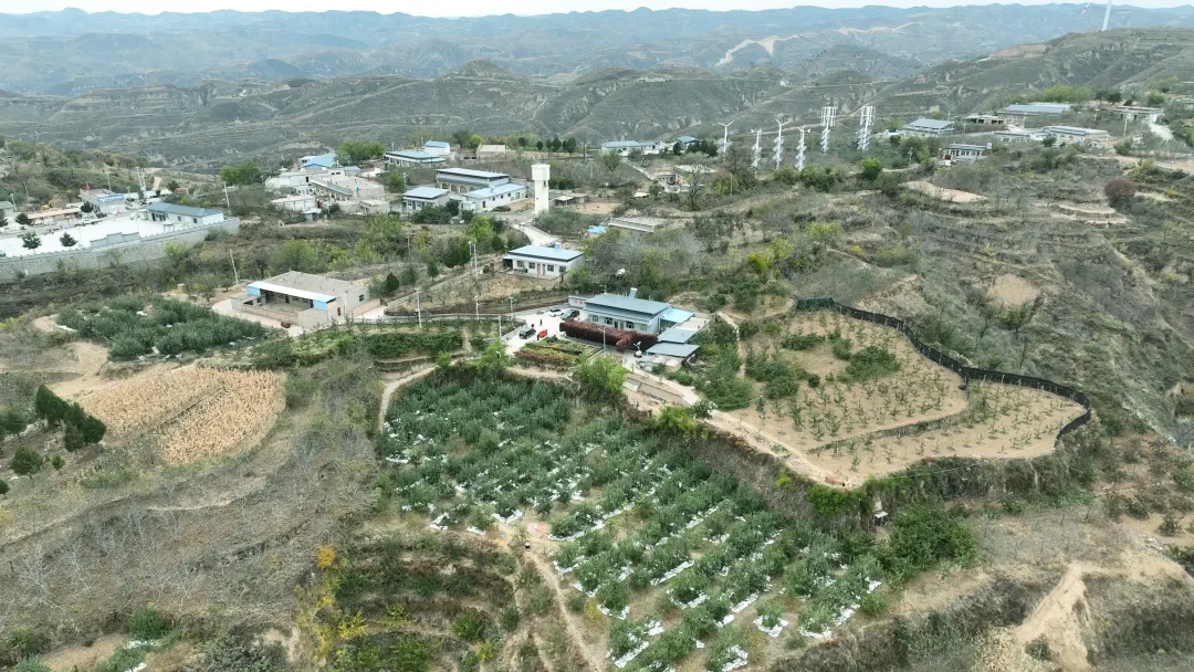 今年以来,吴堡县锚定国家乡村振兴示范县创建目标,推动人居环境从