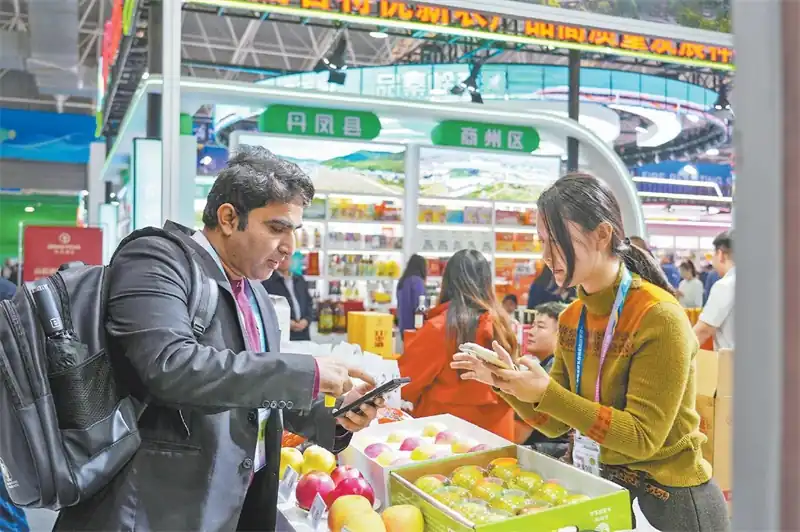 外国游客咨询佳县苹果。 通讯员杨涛摄