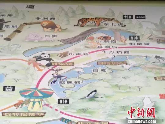 老虎咬人事件后续：死者逃票翻墙进园 涉事动物园10年前就有游客险些被咬