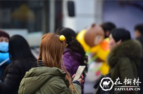 鸡年就要萌萌哒“头上长小鸡” 小鸡发卡走红西安
