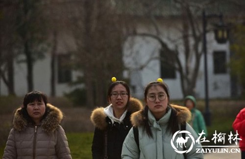 鸡年就要萌萌哒“头上长小鸡” 小鸡发卡走红西安
