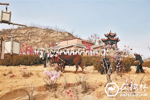 佳县首届黄河流域年文化节活动喜获丰收