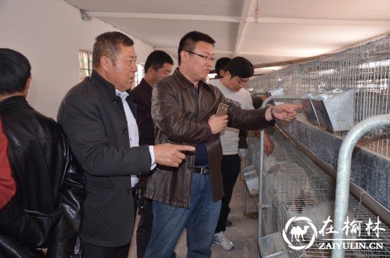 神木大保当镇东北湾村组织党员外出参观学习种养殖技术