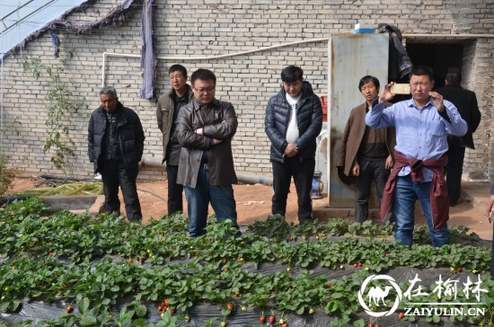 神木大保当镇东北湾村组织党员外出参观学习种养殖技术
