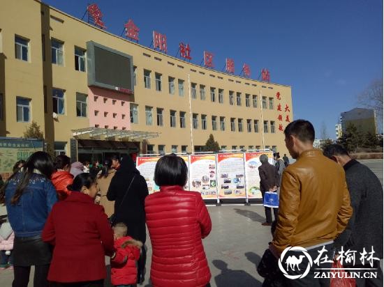 榆阳区金阳社区开展第二十五届“科技之春”宣传月活动