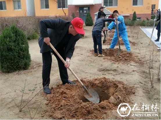 榆阳区驼峰办金榆社区开展志愿者植树活动