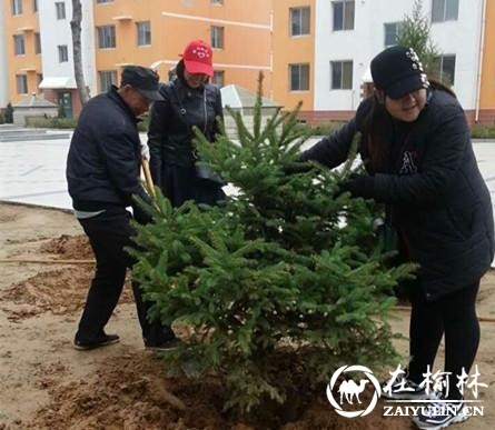 榆阳区驼峰办金榆社区开展志愿者植树活动