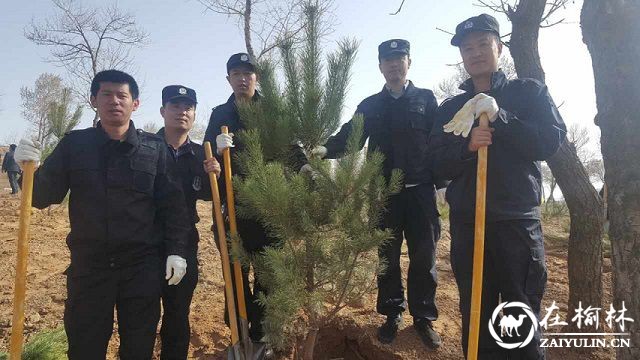 靖边县巡特警大队组织民警参加义务植树活动