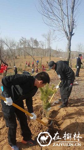 靖边县巡特警大队组织民警参加义务植树活动