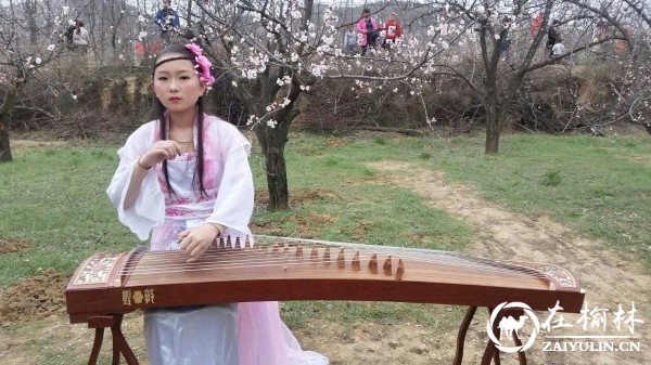 天下名邦绥德汉 你我相聚杏花林—绥德县首届杏花旅游文化节开幕