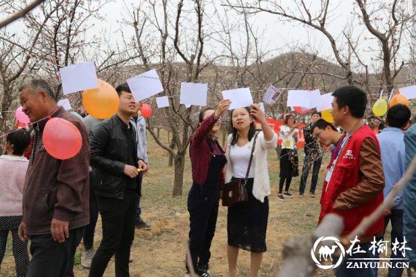 天下名邦绥德汉 你我相聚杏花林—绥德县首届杏花旅游文化节开幕