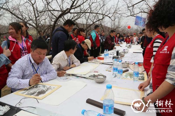 天下名邦绥德汉 你我相聚杏花林—绥德县首届杏花旅游文化节开幕