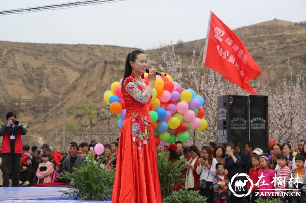 天下名邦绥德汉 你我相聚杏花林—绥德县首届杏花旅游文化节开幕