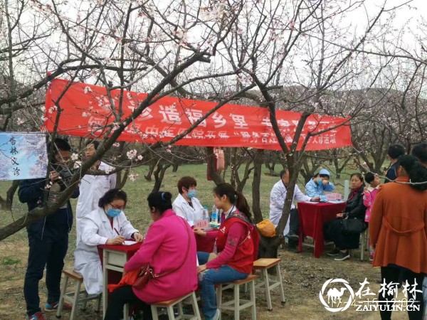 天下名邦绥德汉 你我相聚杏花林—绥德县首届杏花旅游文化节开幕