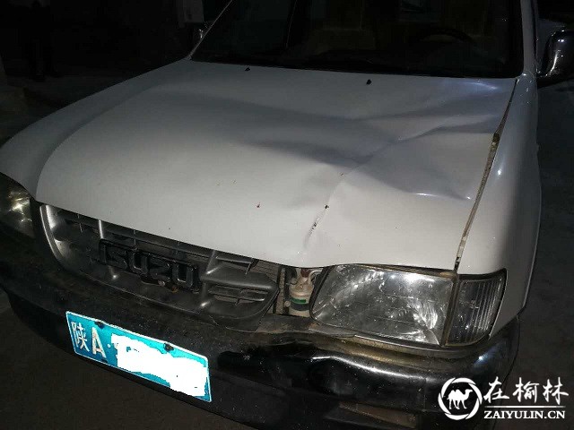 靖边男子驾车撞死路人逃逸 巡逻民警全城搜捕破案