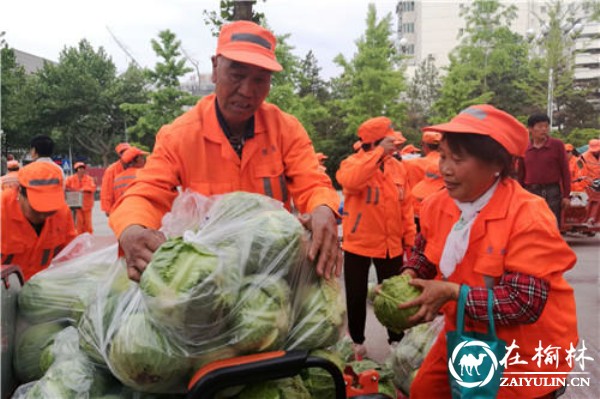 德力森原浆啤酒运营团队援助滞销菜农 情暖百姓生活