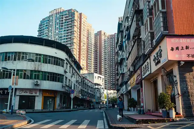 佳县金明寺镇：种好小杂粮 过上好日子