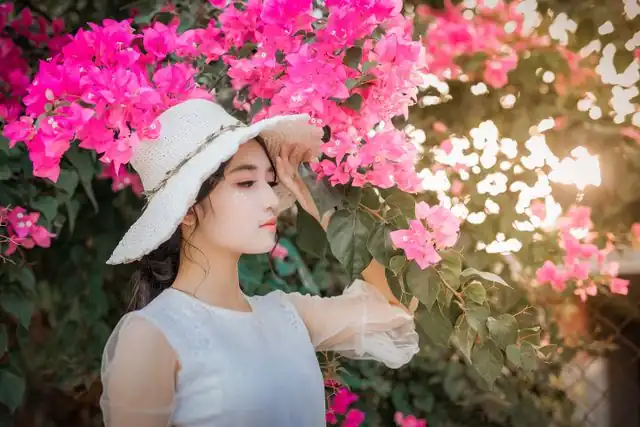第三十三届杨凌农高会“后稷奖”成果发布 榆林揽获5项“后稷特别奖”、14项“后稷奖”